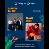 Concierto CARAVAN PALACE / TRAVIS BIRDS en Madrid Martes 11 Junio 2024