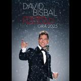 Concierto David Bisbal - Madrid - 22 de diciembre de 2025 en Madrid Lunes 22 Diciembre 2025