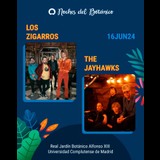 Concierto LOS ZIGARROS / THE JAYHAWKS en Madrid Domingo 16 Junio 2024