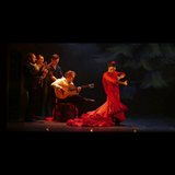 Emociones Summer Edition, show flamenco con sangría incluida Del Sabado 9 Agosto al Sabado 30 Agosto 2025 Emociones Summer Edition, show flamenco con sangría incluida Del Sabado 9 Agosto al Sabado 30 Agosto 2025