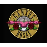 Gansos Rosas Viernes 29 Agosto 2025