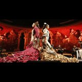 Concierto Gran Gala Flamenco en Madrid From Sunday 14 September to Wednesday 26 November 2025