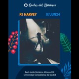 Concierto PJ HARVEY en Madrid Friday 7 June 2024