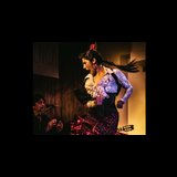 Espectáculo de flamenco local From Thursday 4 September to Saturday 20 December 2025