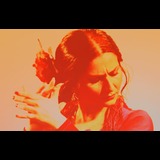 Fiesta Flamenca con Karime Amaya Wednesday 27 August 2025